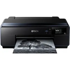 Замена принтера Epson SureColor SC-P600 в Челябинске